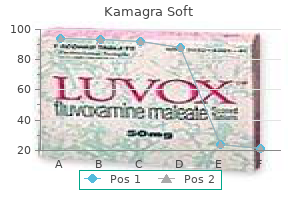 discount 100 mg kamagra soft free shipping