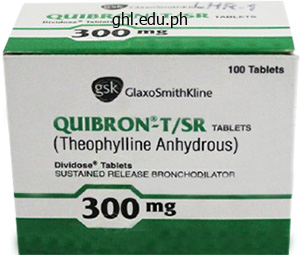 400 mg quibron-t buy with visa